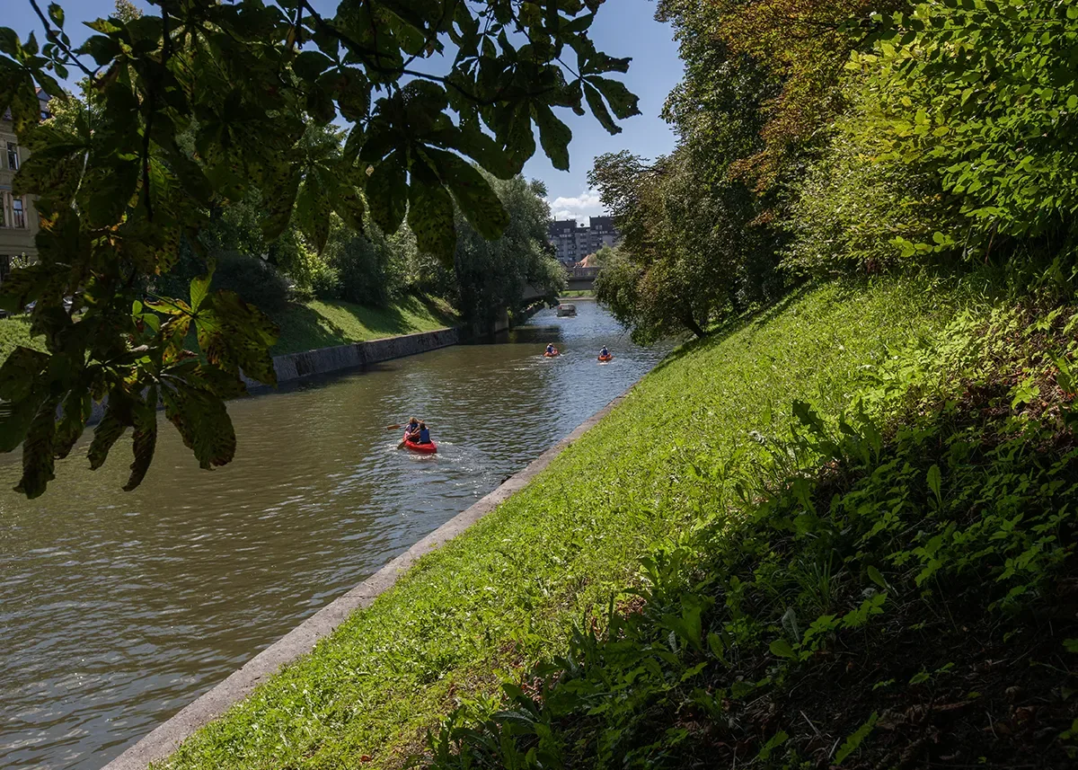 Ljubljanica v zelenju